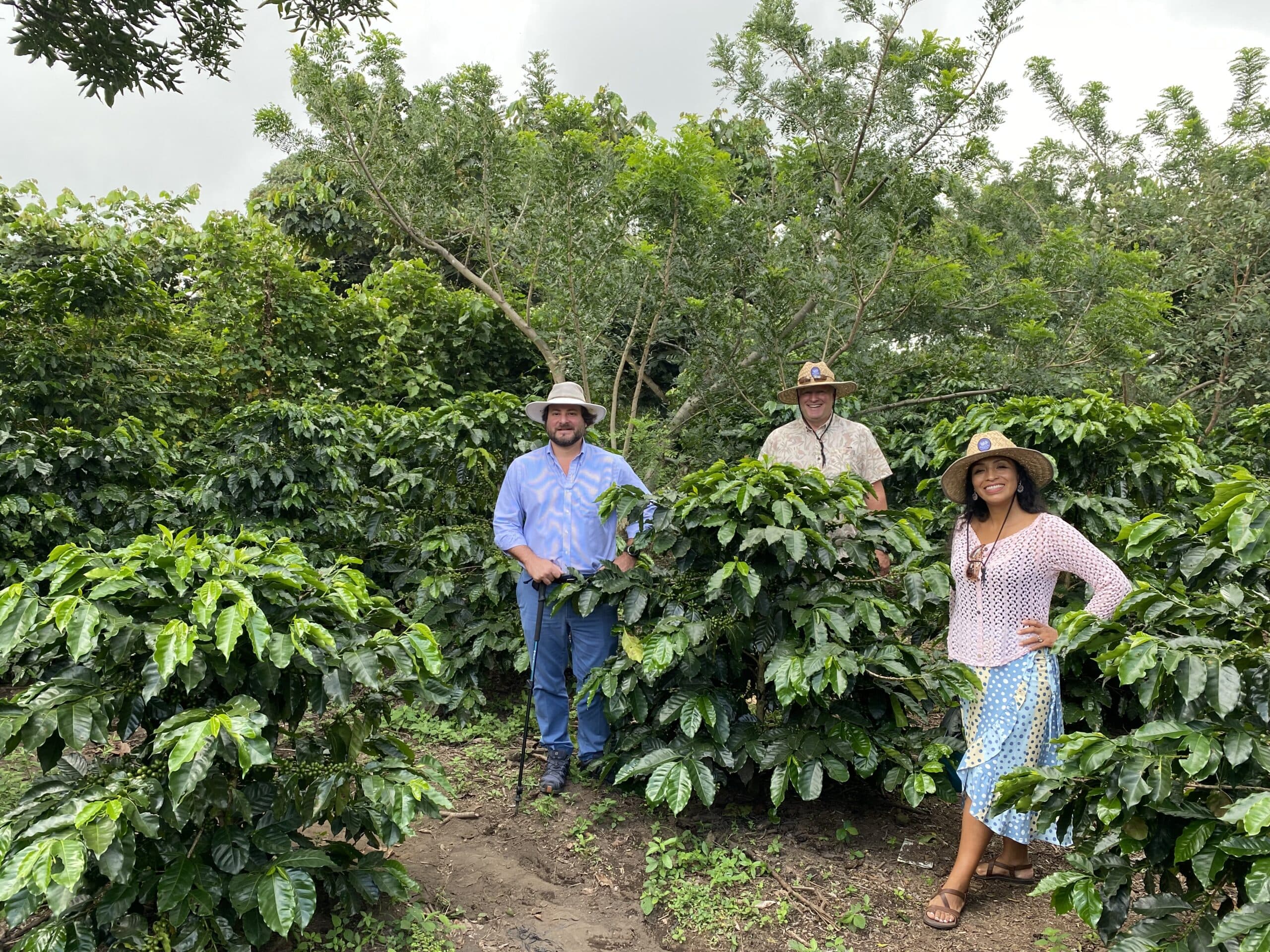 Visiting coffee growers among the plants at origin in Latin America